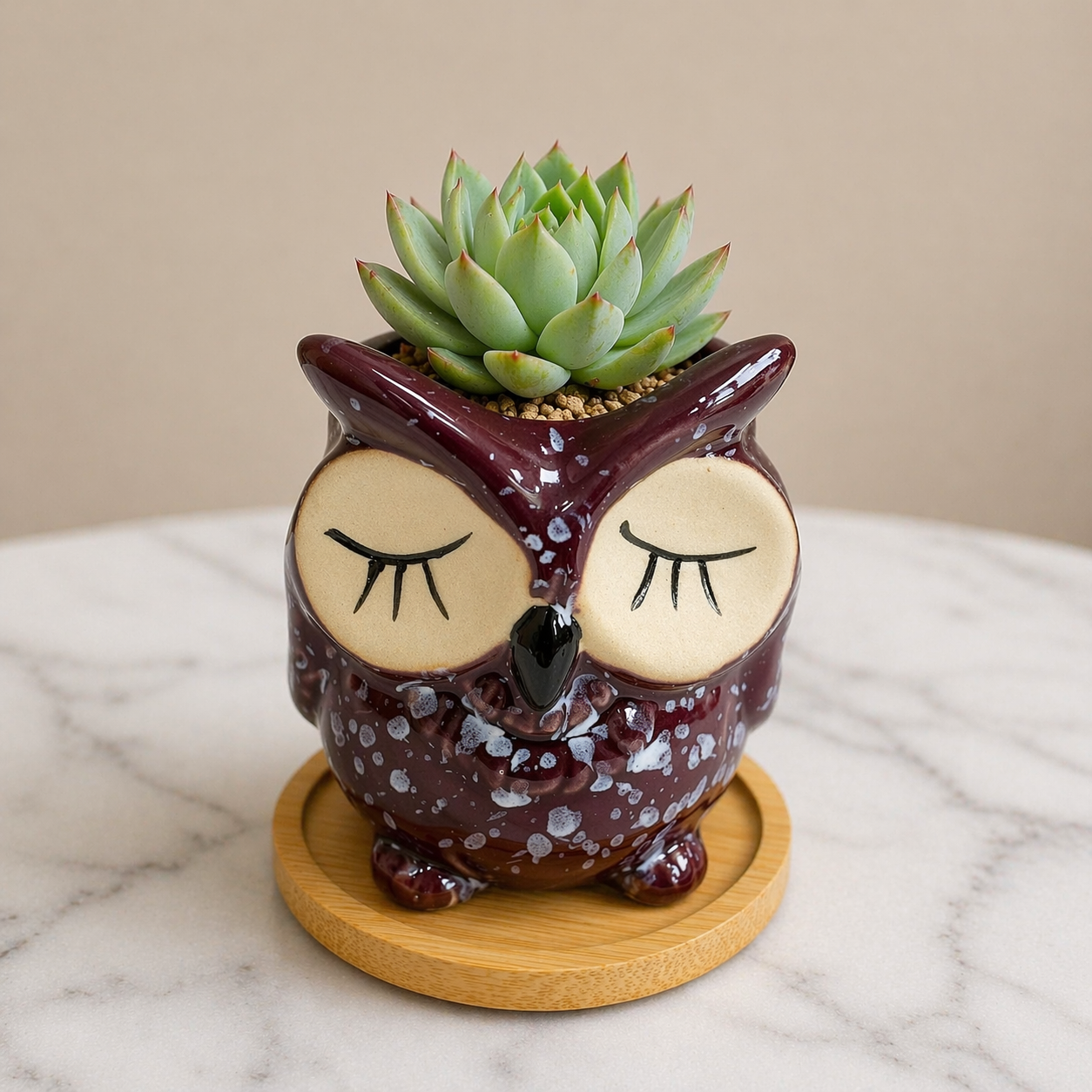 Owl Succulent Plant Pots