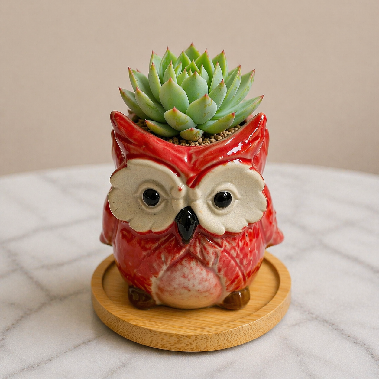 Owl Succulent Plant Pots