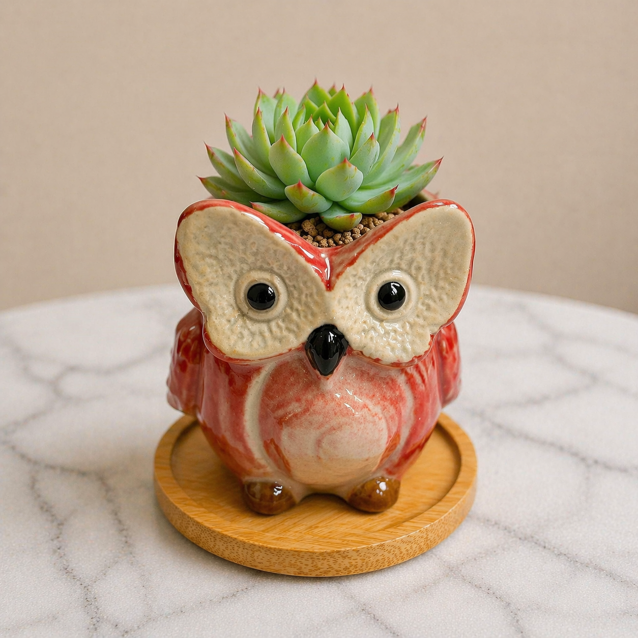 Owl Succulent Plant Pots