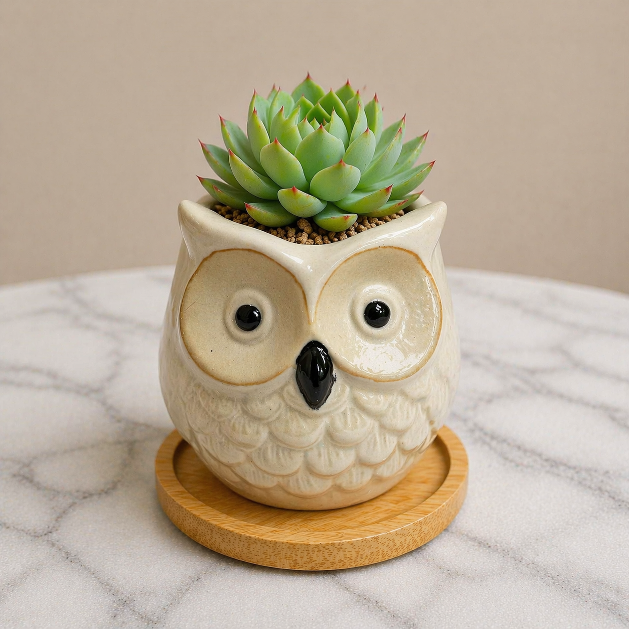 Owl Succulent Plant Pots