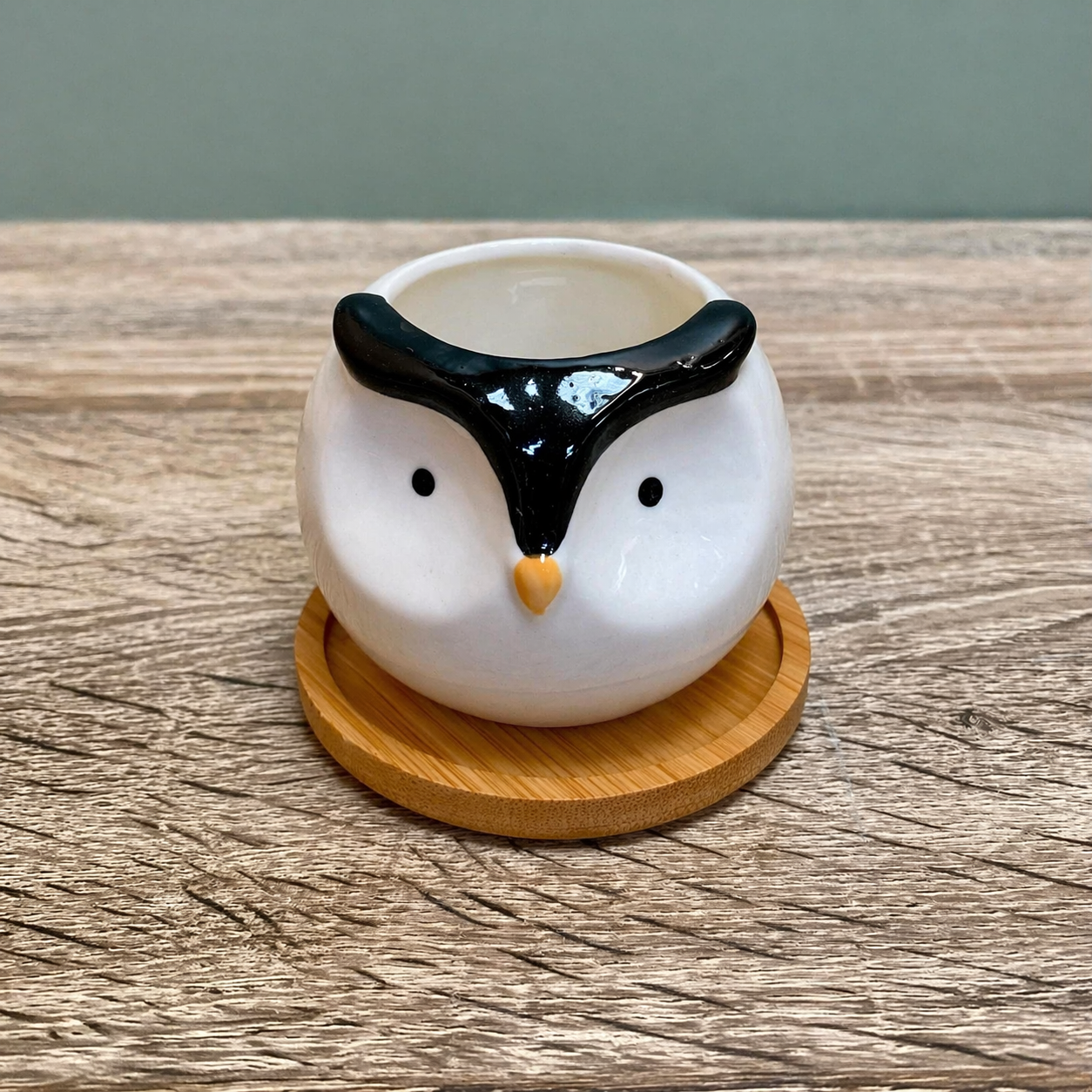 Round Animal Succulent Planters