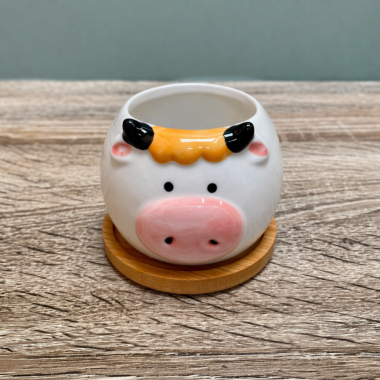 Round Animal Succulent Planters