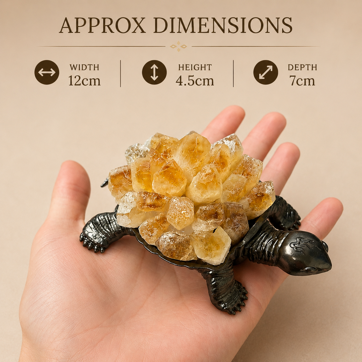 Crystal Turtles