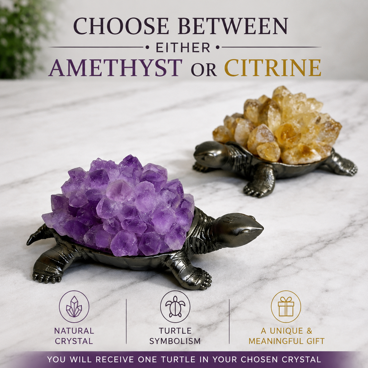 Crystal Turtles