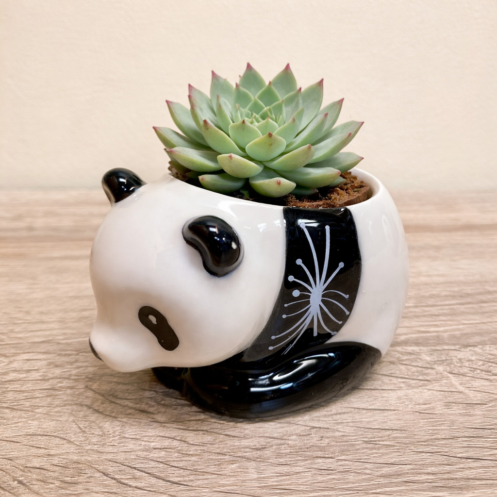 Panda Succulent Pots