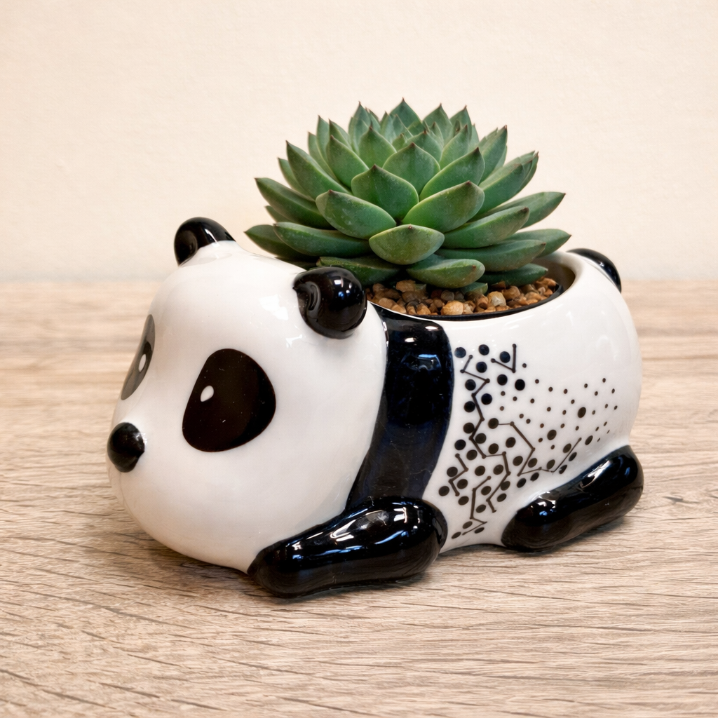 Panda Succulent Pots