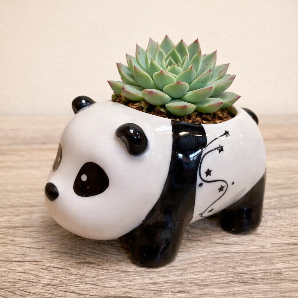 Panda Succulent Pots