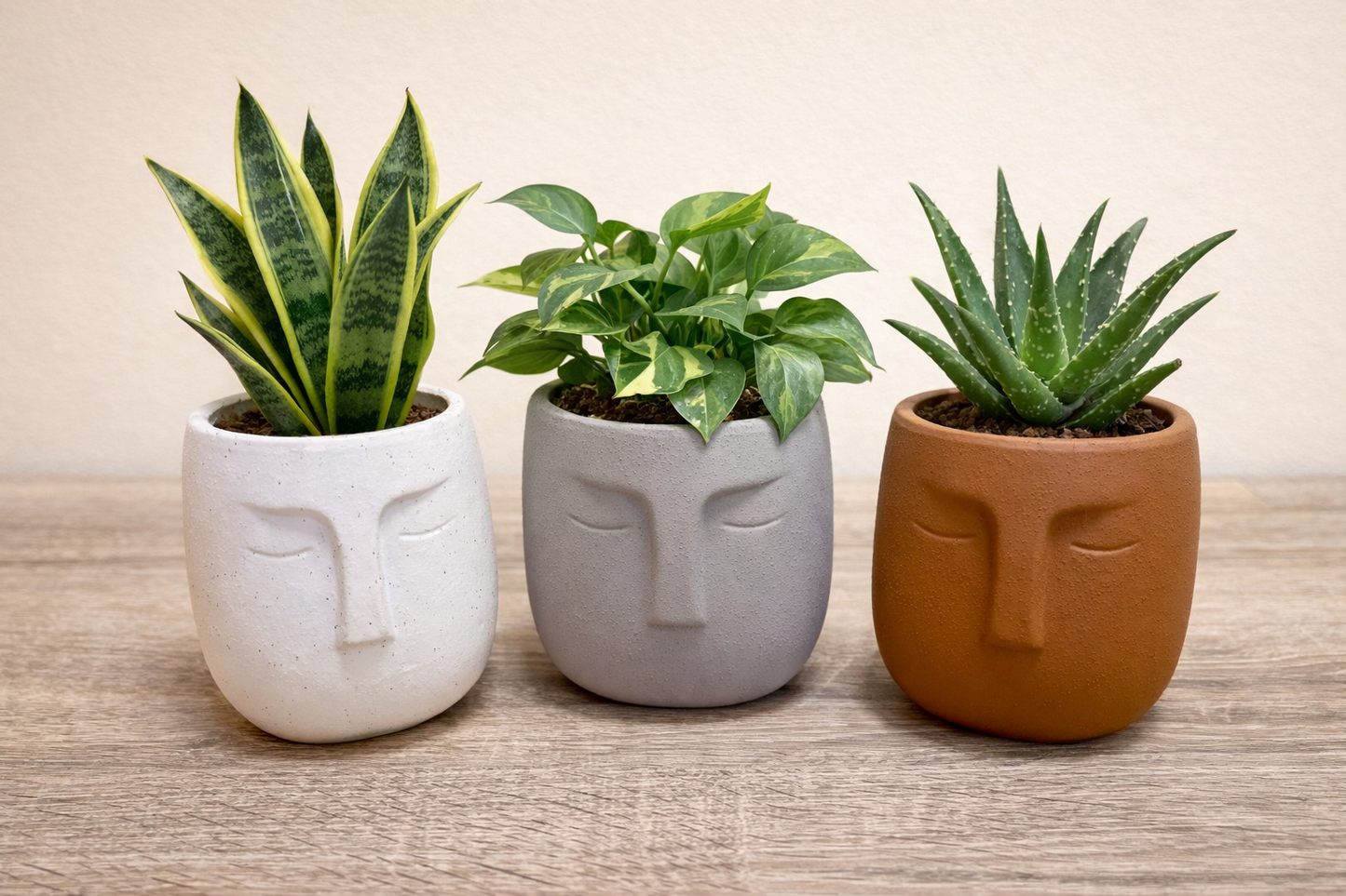 Nordic Human Face Plant Pots