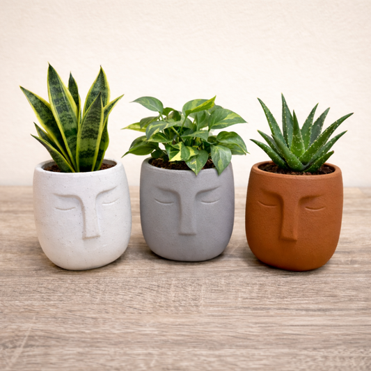 Nordic Human Face Plant Pots