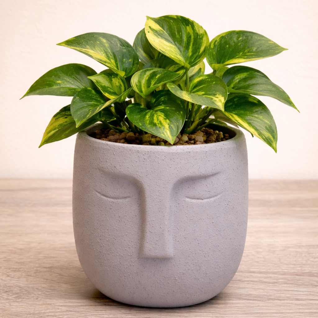 Nordic Human Face Plant Pots