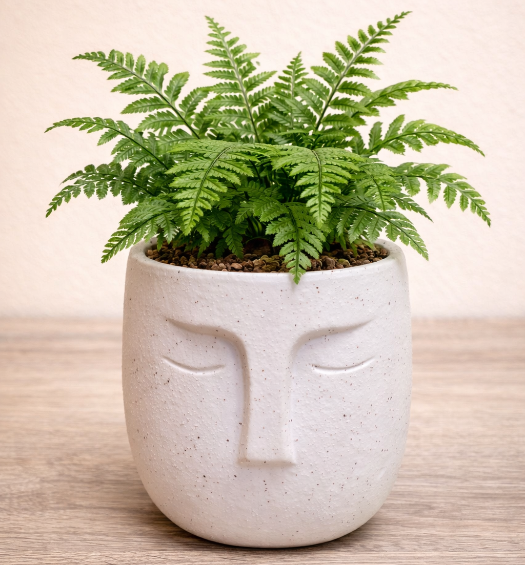 Nordic Human Face Plant Pots
