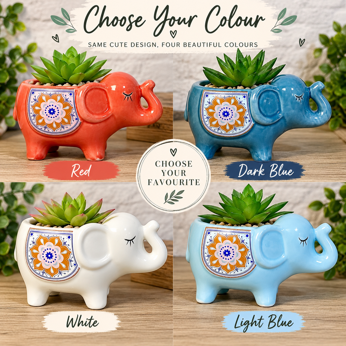 Elephant Succulent Flower Pots