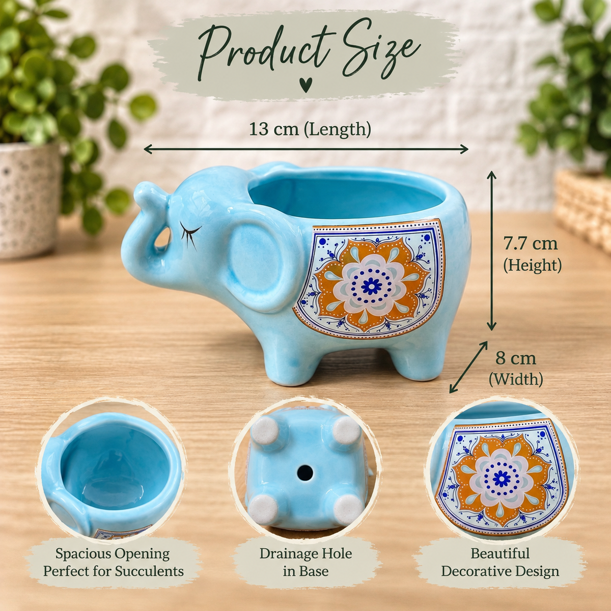 Elephant Succulent Flower Pots