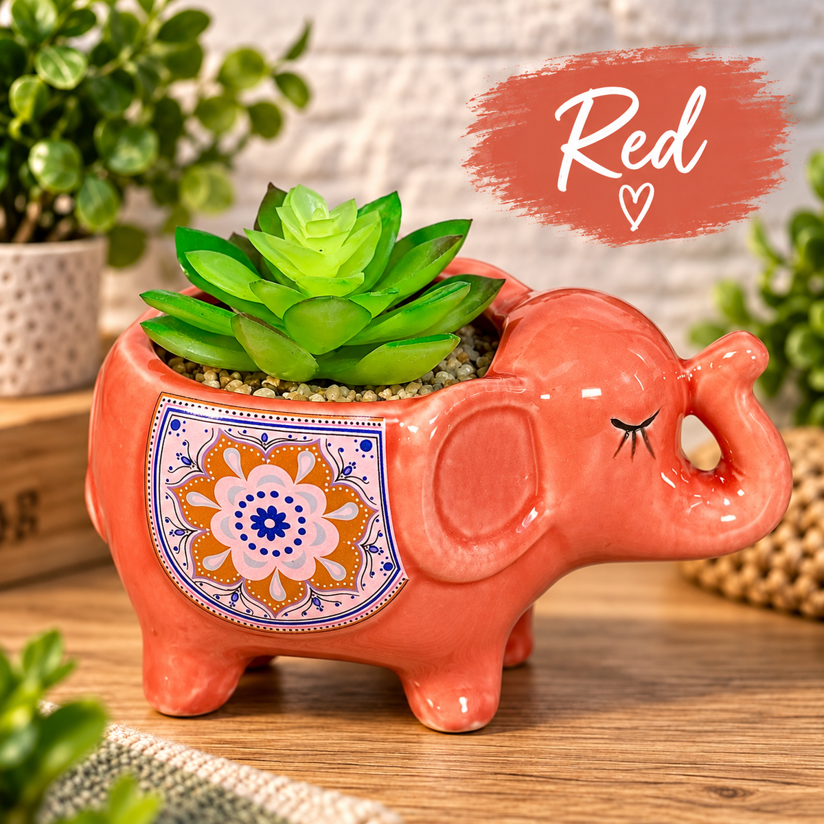 Elephant Succulent Flower Pots