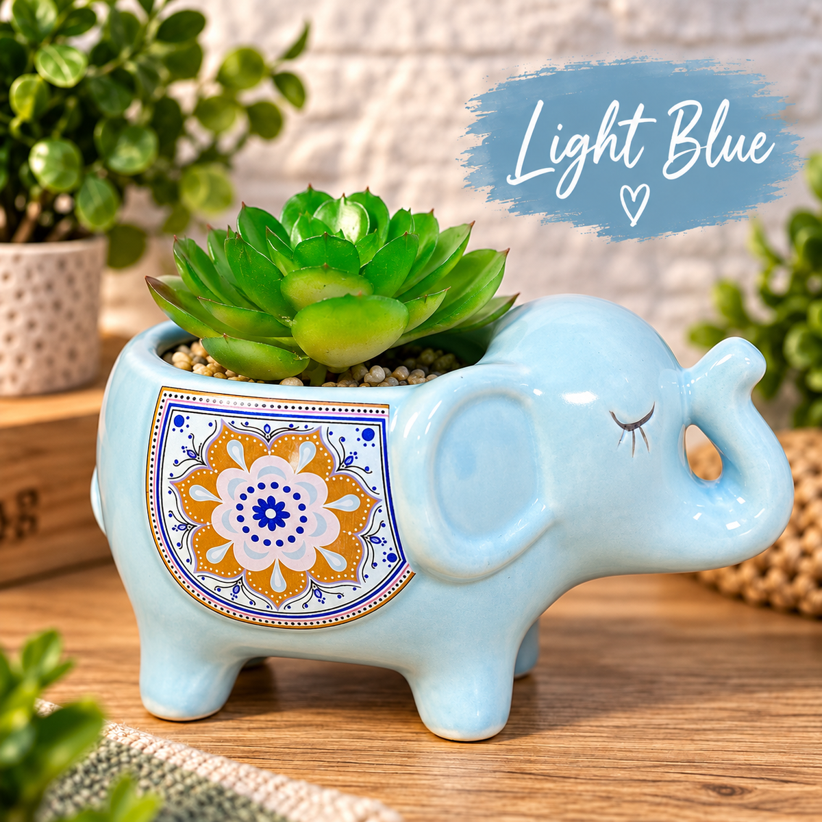 Elephant Succulent Flower Pots