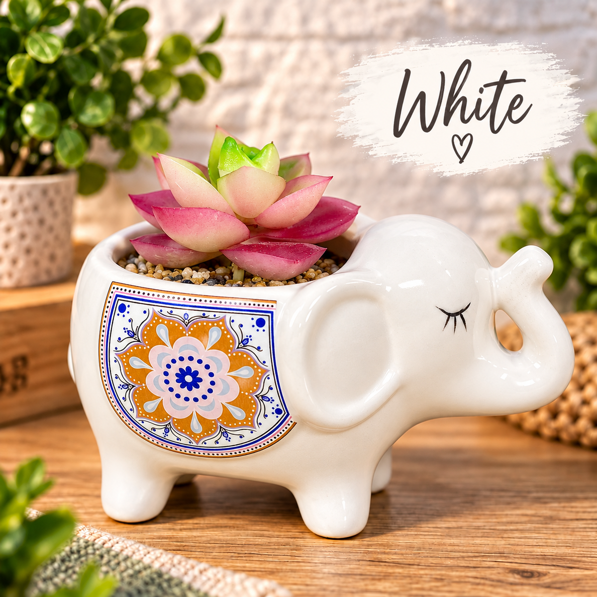Elephant Succulent Flower Pots