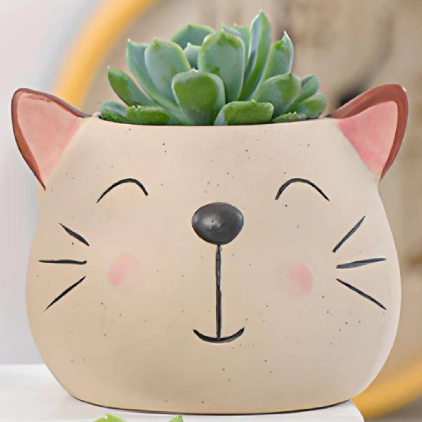 Animal Head Ceramic Succulent Planters / Cute Animal Plant Pots / Round Desk Office Home Decor / Gift