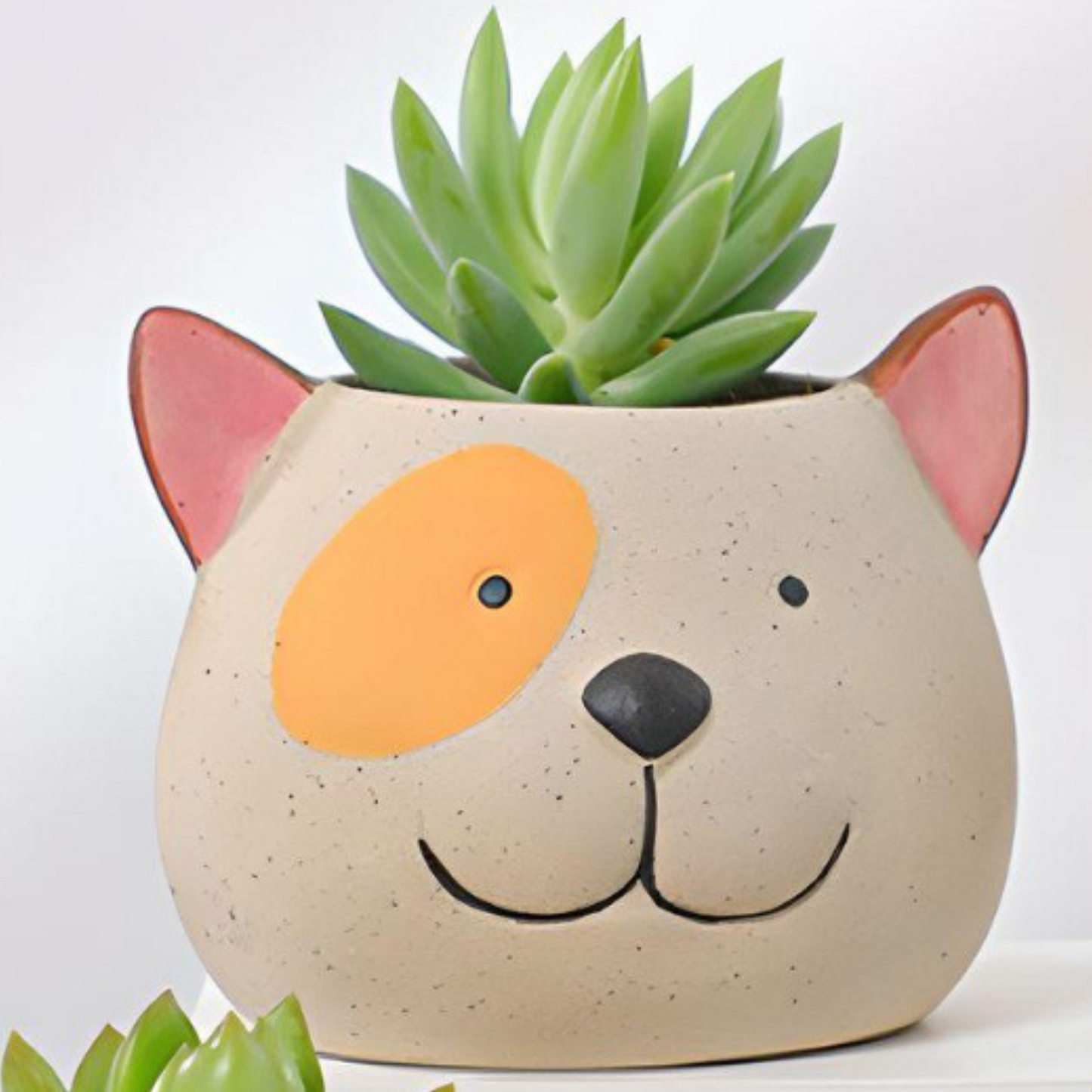 Animal Head Ceramic Succulent Planters / Cute Animal Plant Pots / Round Desk Office Home Decor / Gift