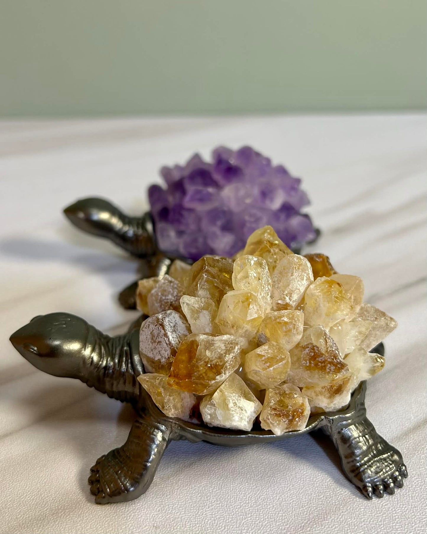 Crystal Turtles