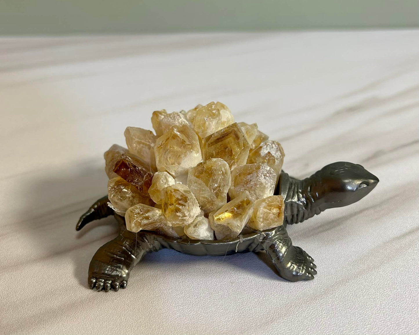 Crystal Turtles