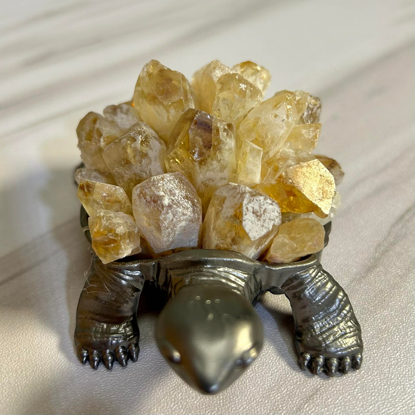 Crystal Turtles