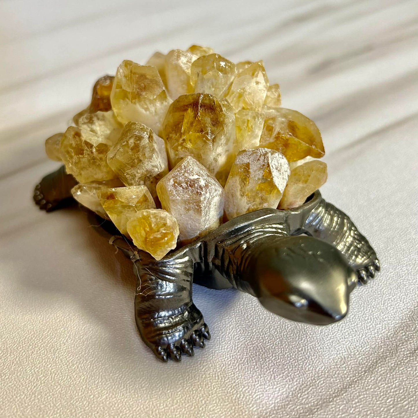 Crystal Turtles