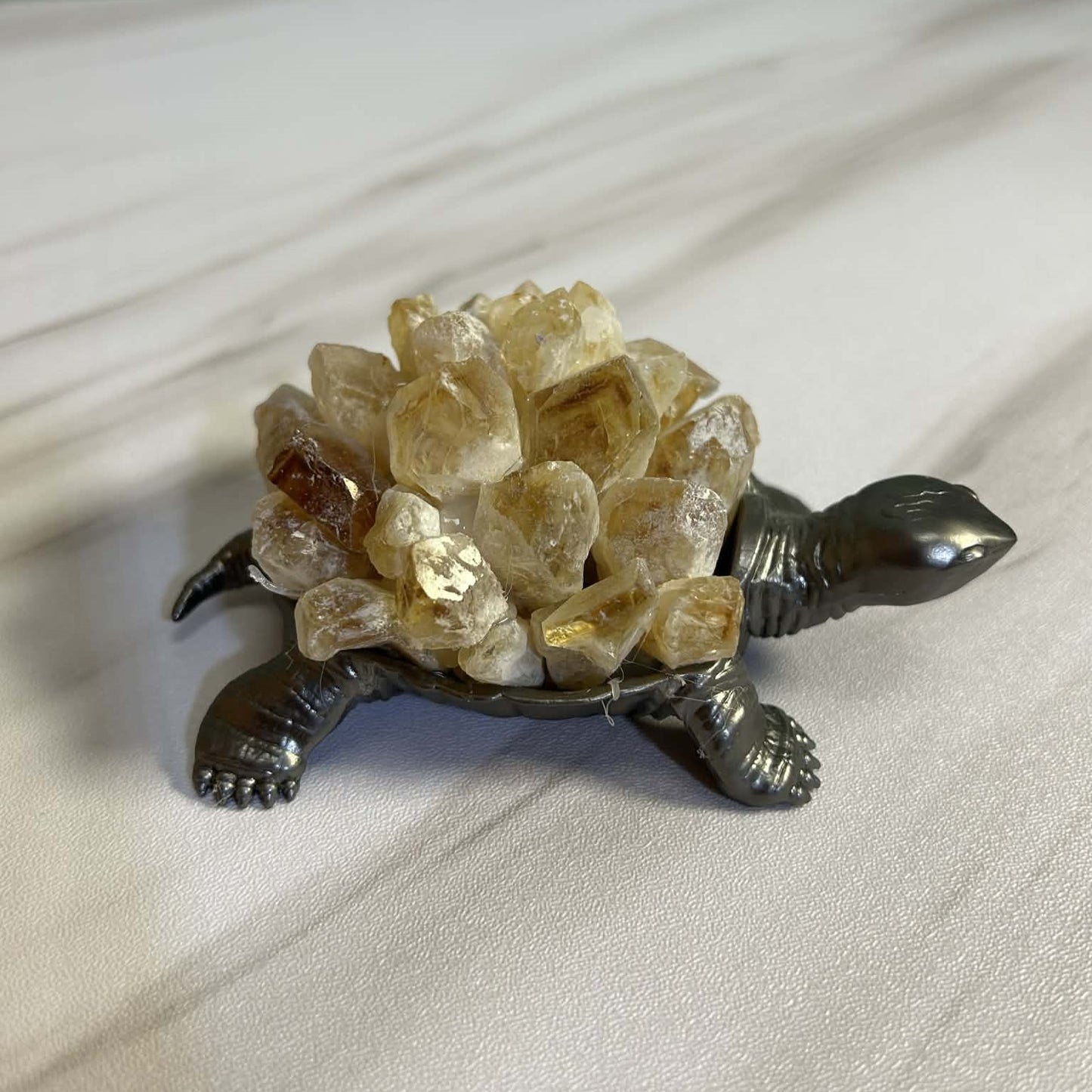 Crystal Turtles