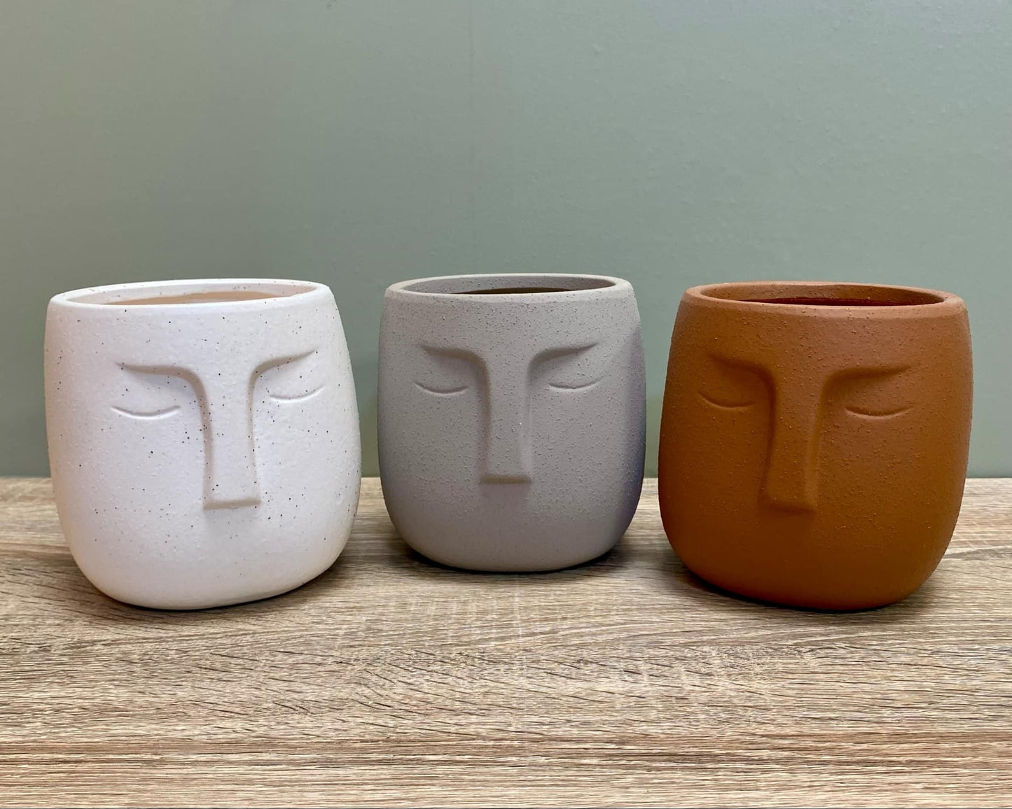 Nordic Human Face Plant Pots