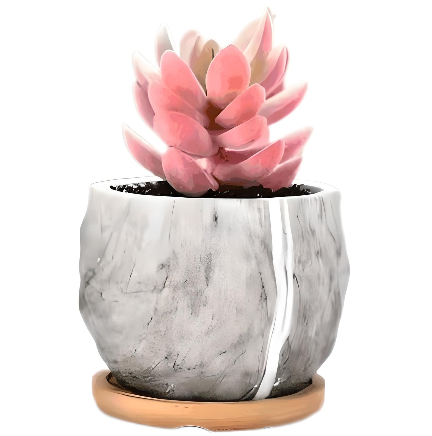 Ceramic Marble Effect Pineapple Style Succulent Planters WITH Bamboo Coaster / Small Desktop Plant Pot / Indoor Office Home / Gift Idea