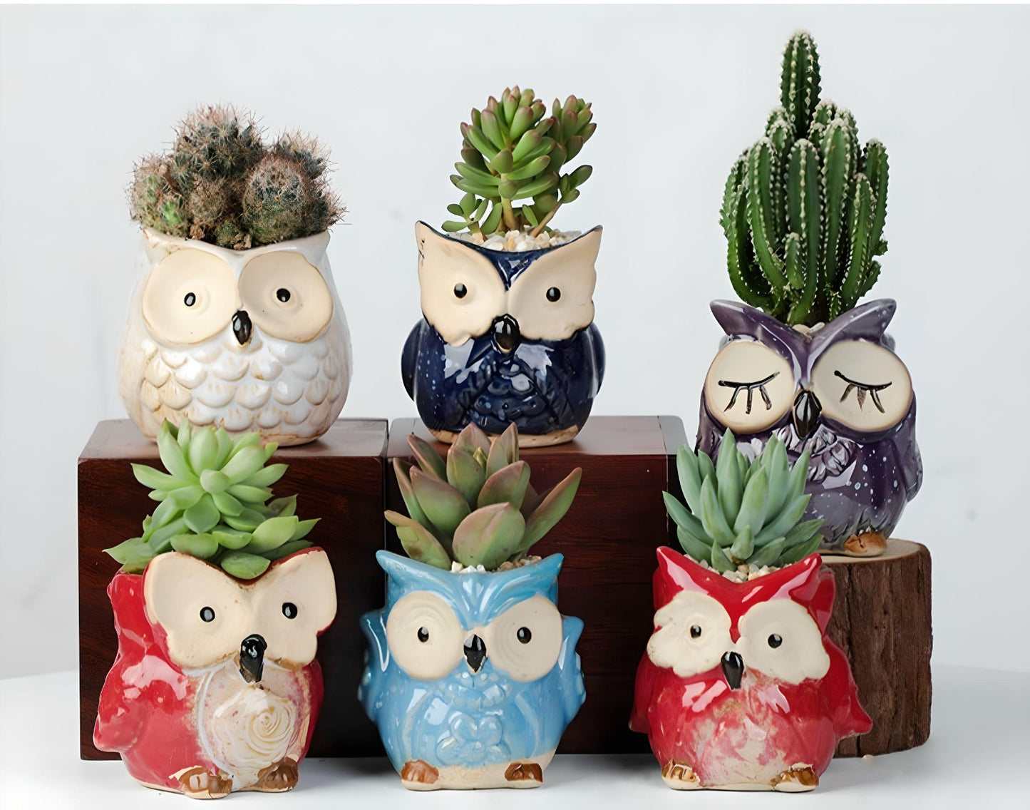 Owl Succulent Plant Pots
