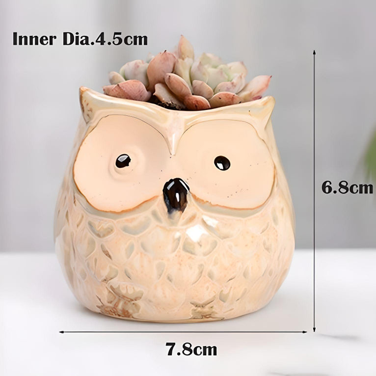 Owl Succulent Plant Pots