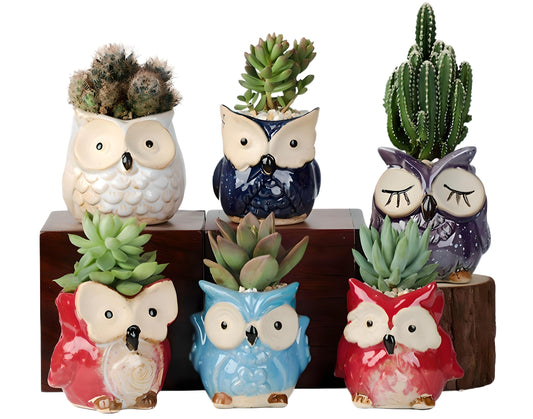 Owl Succulent Plant Pots WITH Bamboo Coaster / Quirky Indoor Home Decor / Ceramic Mini Planter  / Office Desktop Plant Pot / Home Gift