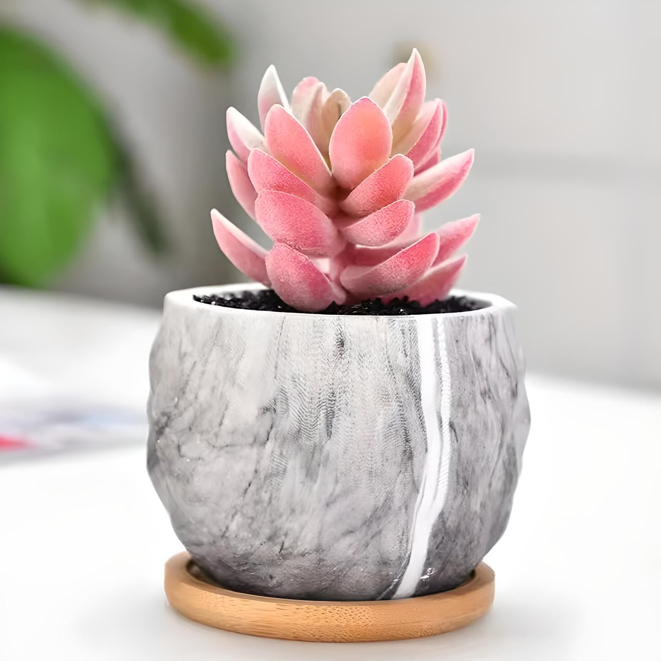 Ceramic Marble Effect Pineapple Style Succulent Planters WITH Bamboo Coaster / Small Desktop Plant Pot / Indoor Office Home / Gift Idea