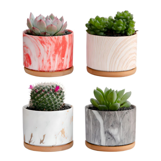 Round Ceramic Marble Effect Succulent Planters WITH Bamboo Coaster / Small Desktop Plant Pot / Indoor Office Home Decor / Gift Idea