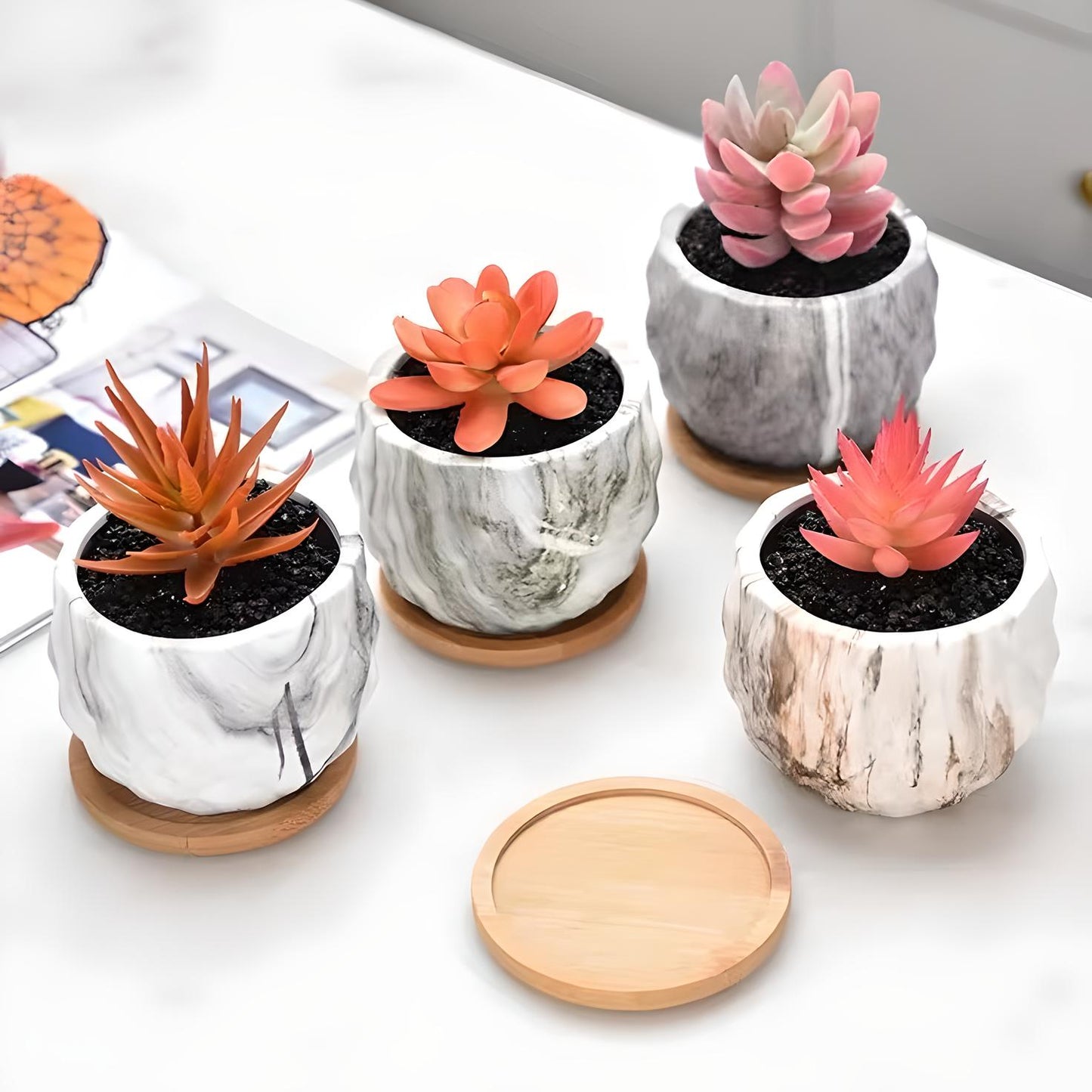 Ceramic Marble Effect Pineapple Style Succulent Planters WITH Bamboo Coaster / Small Desktop Plant Pot / Indoor Office Home / Gift Idea