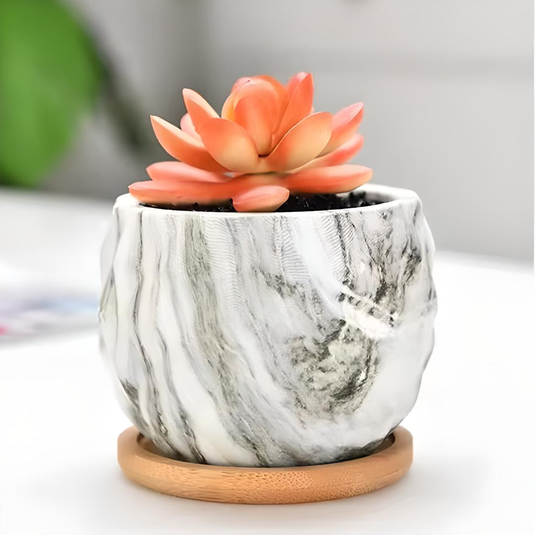 Ceramic Marble Effect Pineapple Style Succulent Planters WITH Bamboo Coaster / Small Desktop Plant Pot / Indoor Office Home / Gift Idea