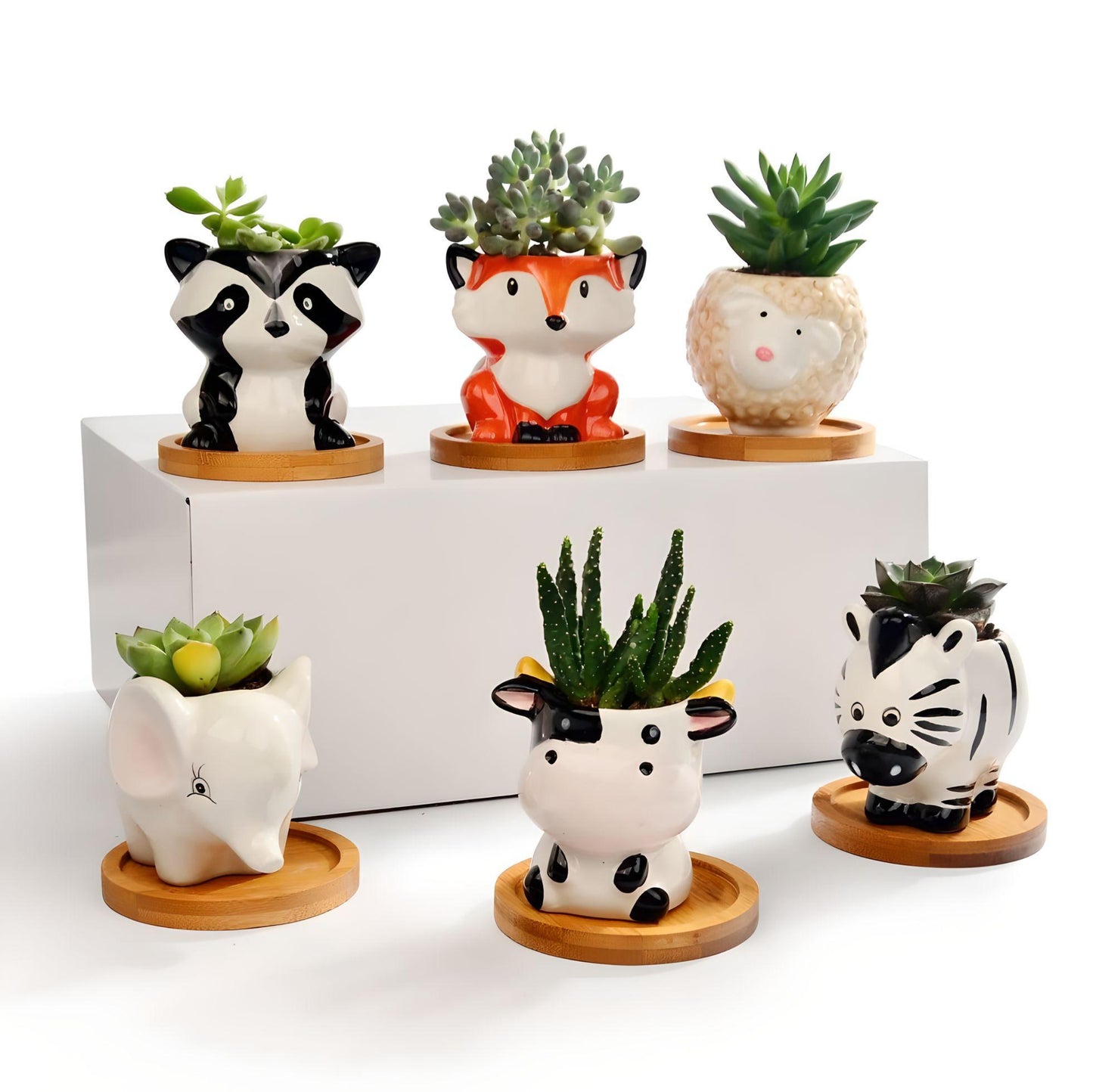 Animal Succulent Planters WITH Bamboo Coaster / Small Desktop Plant Pot / Indoor Office Home Decor / Cute Animal Planters / Gift Idea