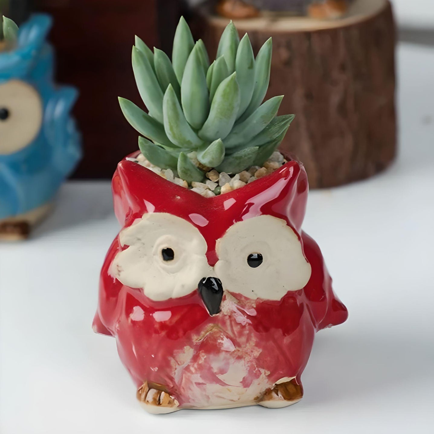Owl Succulent Plant Pots