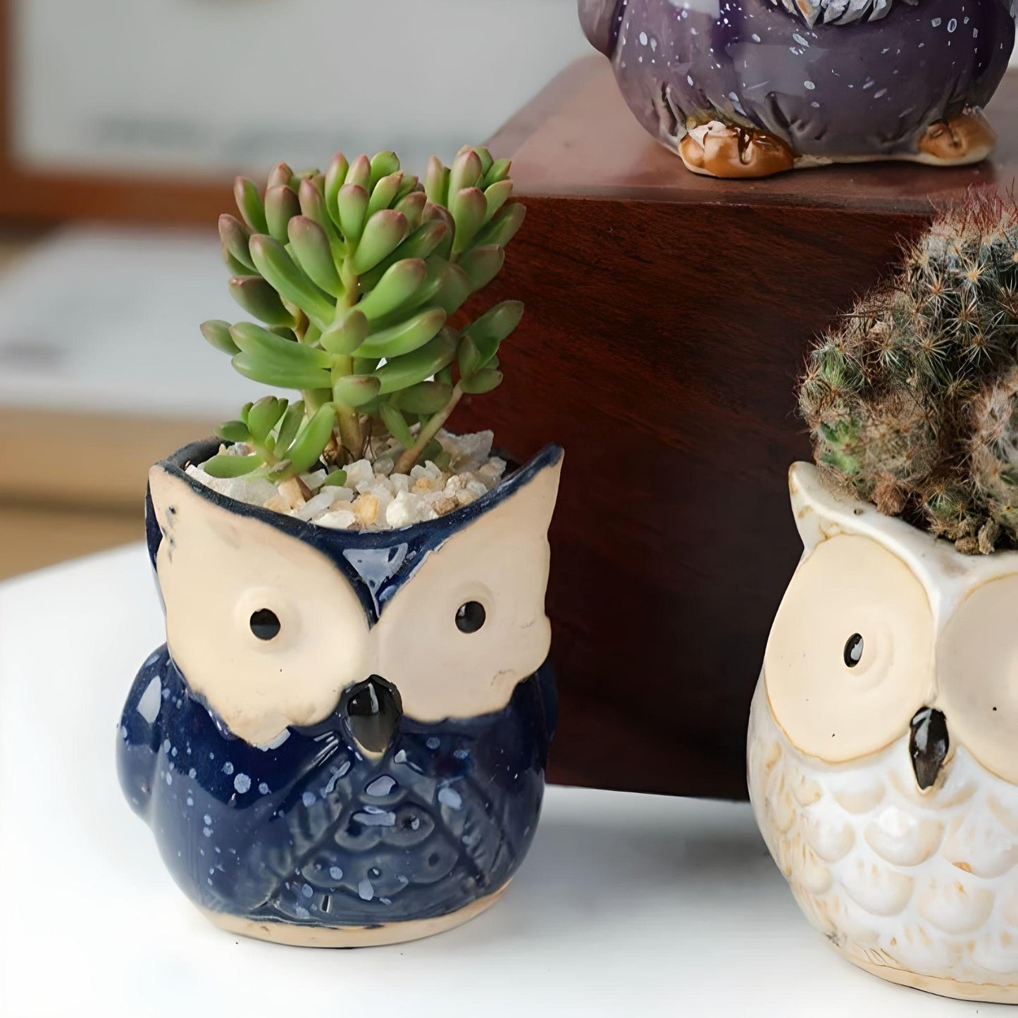 Owl Succulent Plant Pots