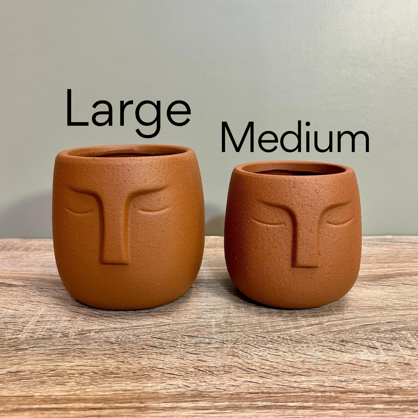 Nordic Human Face Plant Pots