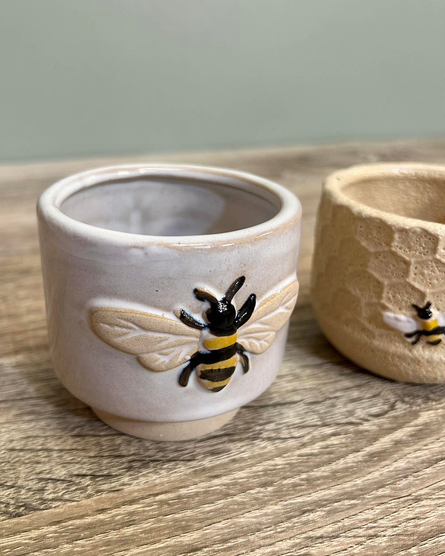 Bumblebee And Honeycomb Plant Pots
