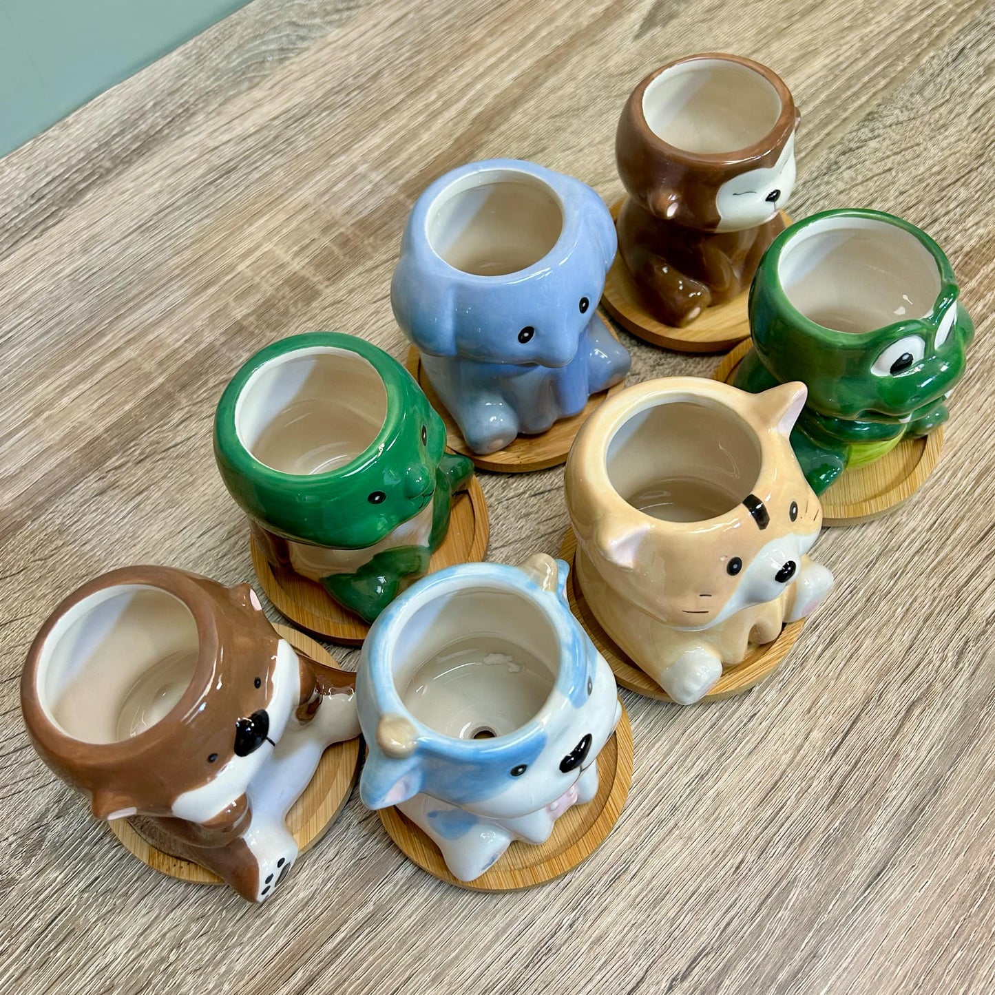 Animal Succulent Plant Pots Variations