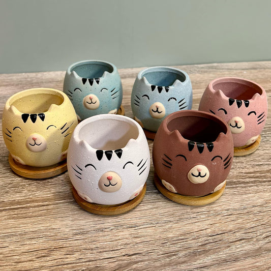 Cute Cat Animal Succulent Plant Pots