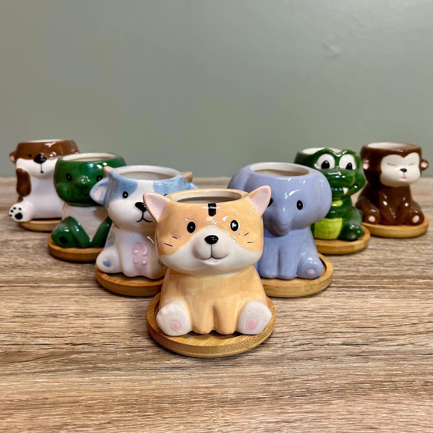 Animal Succulent Plant Pots Variations