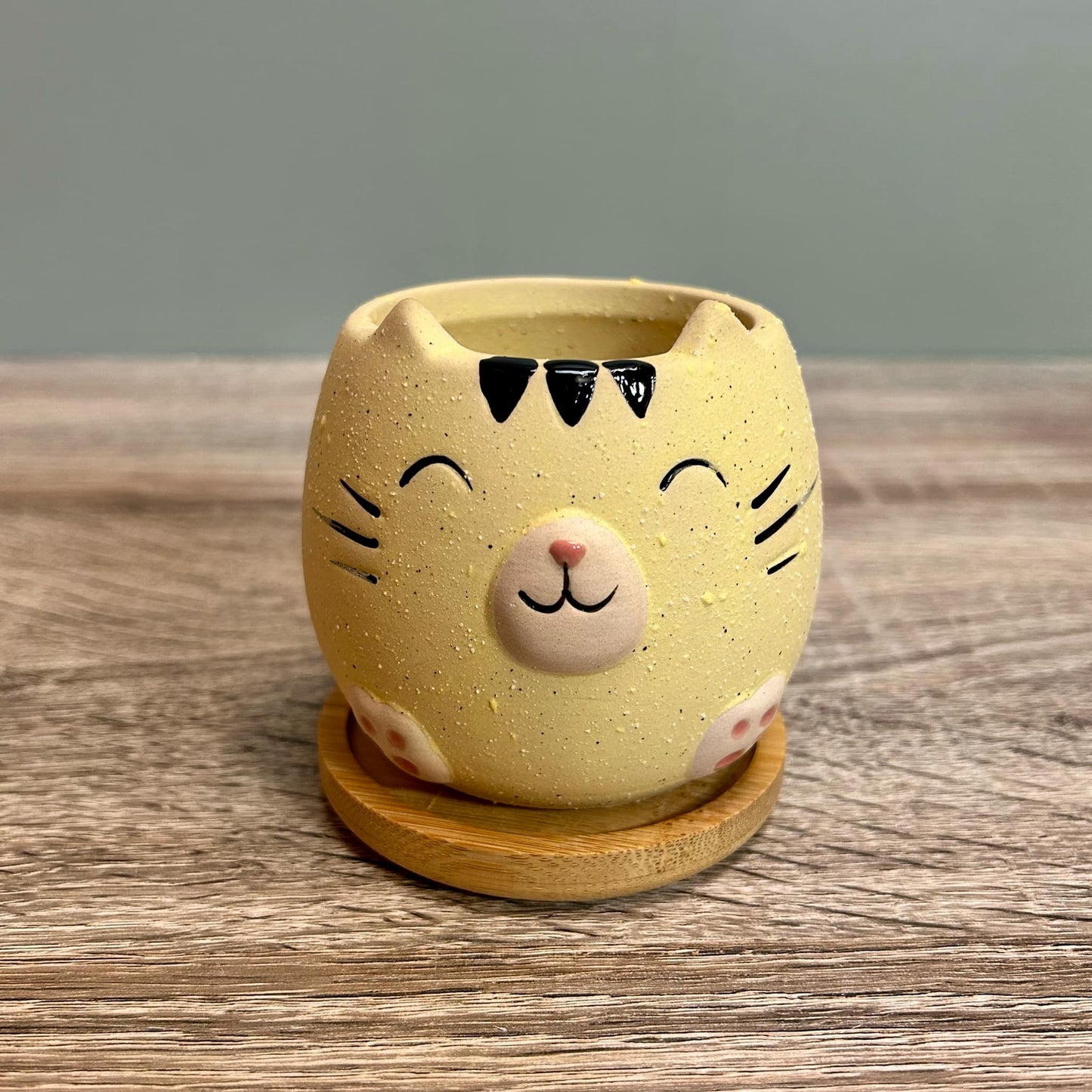 Cute Cat Animal Succulent Plant Pots