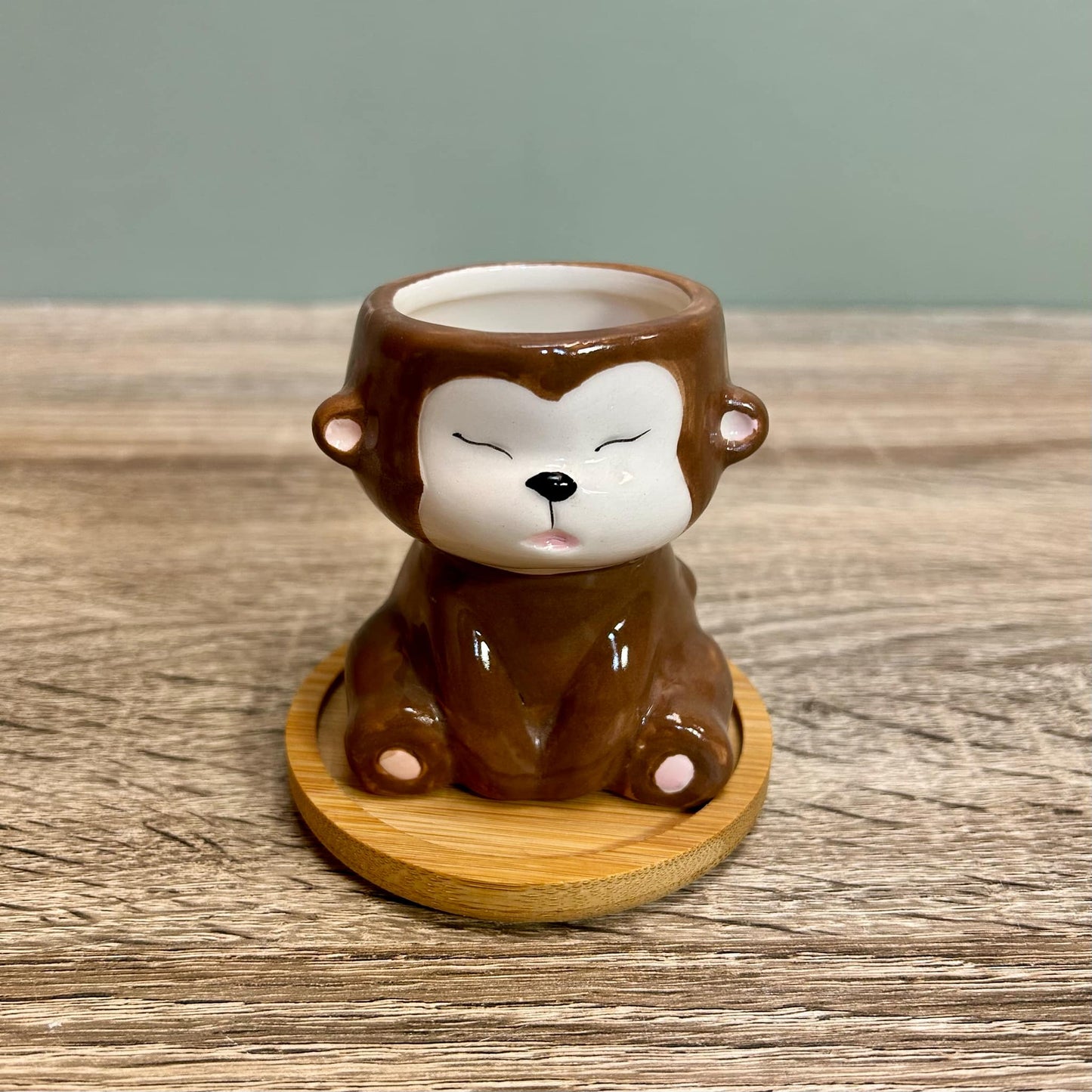 Animal Succulent Plant Pots Variations