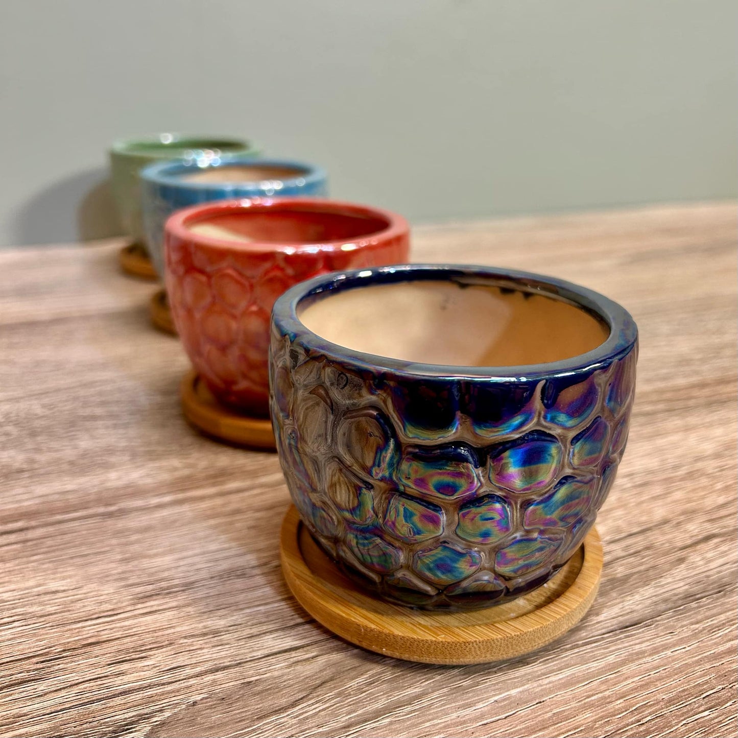 Ceramic Gloss Succulent Planters