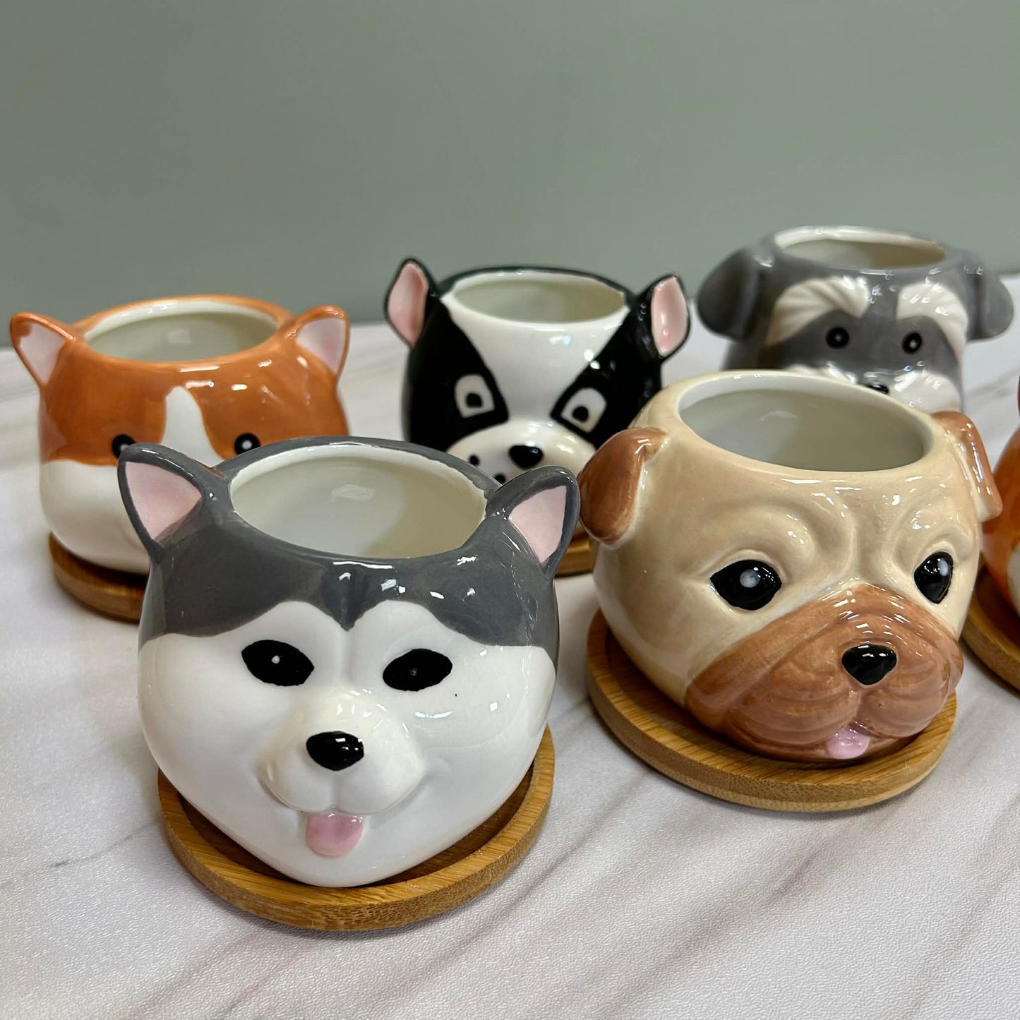 Dog Succulent Plant Pots