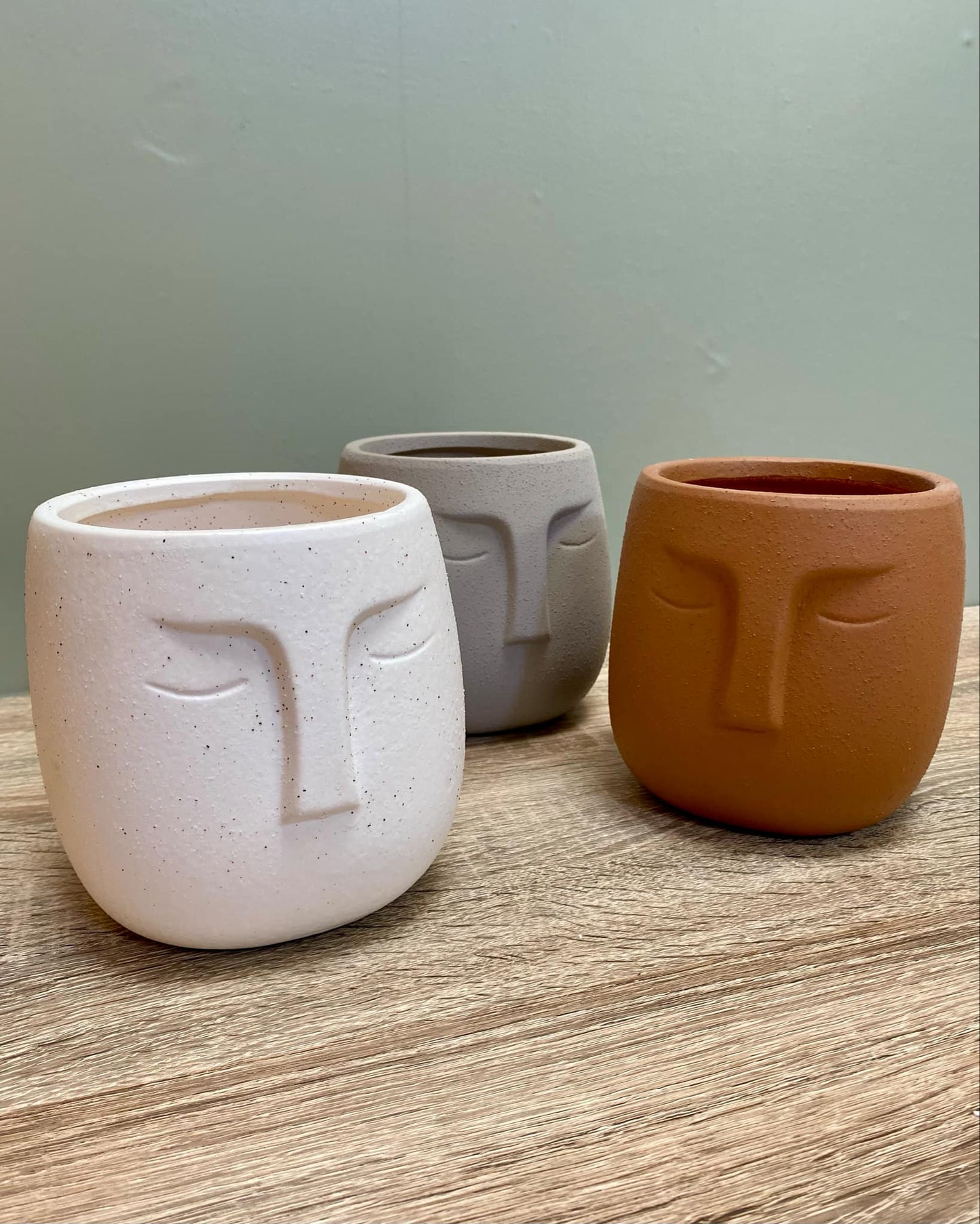 Nordic Human Face Plant Pots