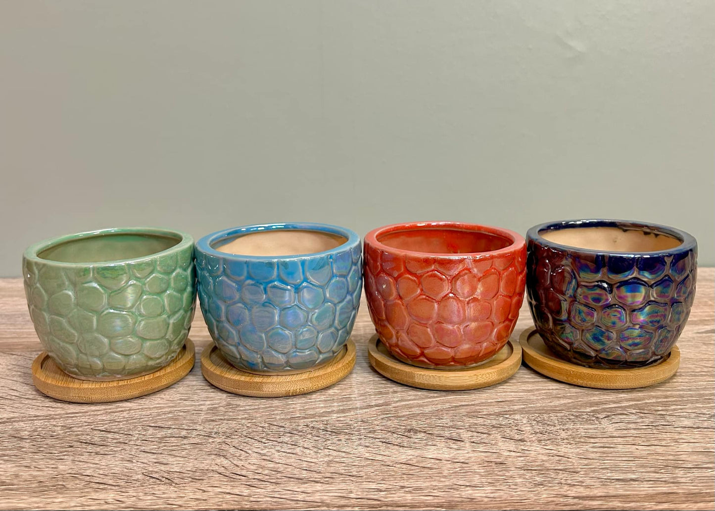 Ceramic Gloss Succulent Planters